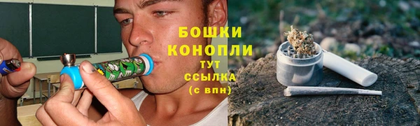 сатива Медвежьегорск