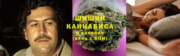 СК Мегион