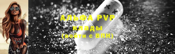 гашик Магас
