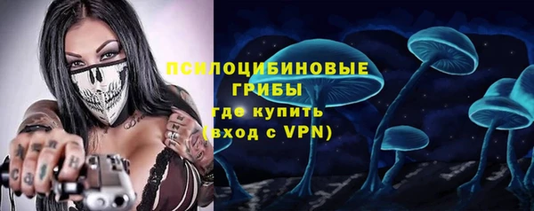 мдпв Медногорск