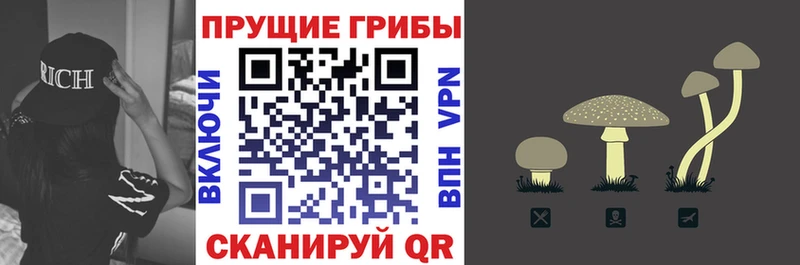 Галлюциногенные грибы MAGIC MUSHROOMS  OMG зеркало  Партизанск 